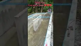 Tilapia Pond (in the making) #nature #food #aqua culture #tilapia #farming #fish #forlife