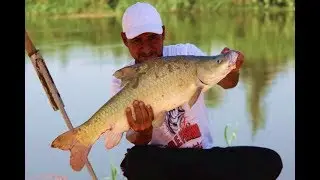 اغرب طريقة صيد السمك فى العالم