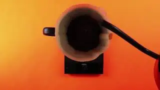 Felicita Incline Coffee Scale