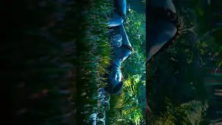 #4kvideo #8kvideo #uhdvideo