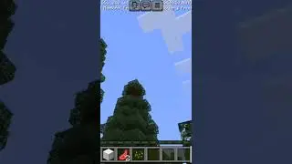 Mods horrors aqui no Brasil