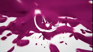 malerservice