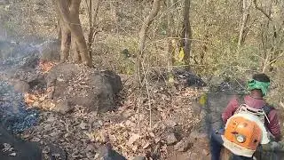 ###Fire protection duty ###🔥🔥🔥 forest area