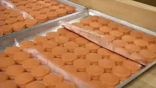 Kitchen Incubator