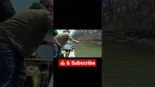 🔥CRAPPIE🔥 #trending #viral #kansas #fishing #publicland #crappie #shorts #shortvideo #fish #lake