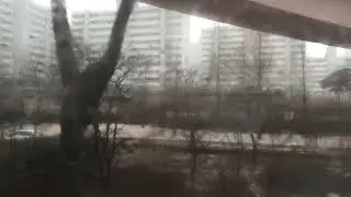 Incheon  airport bus