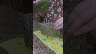 Reusable Beeswax Food Wraps