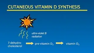 Vitamin D, Sunshine, Optimal Health: Putting it all Together