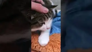 Делаем горящую анимацию логотипа