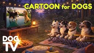 Cartoons for Dogs to Watch: Calm & Relax Your Dog While Home Alone | Dog TV🐾