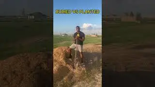 BURIED VS PLANTED - (featuring Jeremy Pierre) #motivate #inspire #godcan #believe #keeproaring