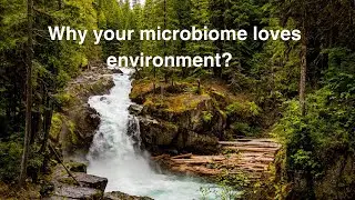 Why your microbiome loves environment? #microbiome #nature #naturelovers