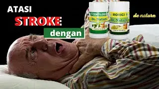 CENTILOS MORICI OBAT STROKE STRUK