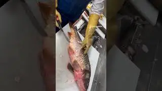 Fish Scale Removing|| Follow for more  #fishcutting #fish #fish #shorts #new #follow #fyp