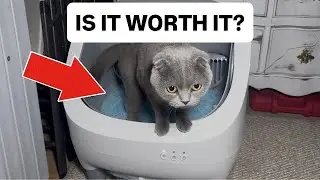 Honest and Practical Review of This Cat Litter Box! #ad