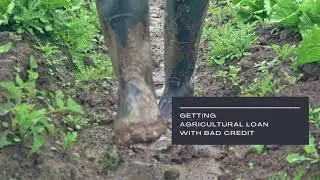 LONG TERM AGRICULTURAL LOAN &ndash; 5 HELPFUL TIPS AND IDEAS FOR FARMERS REQUIRING FUNDING