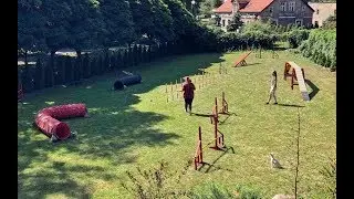 Warsztaty dogfrisbee&agility z Alicją Andrukajtis |Dynamic Dogs| Wałcz