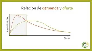 Condici&oacute;n Corporal y Aplomos (Parte 4)