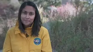 NEID Spectrometer