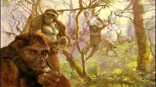 How Ancient Pelvis Bones Changed Human Walking!