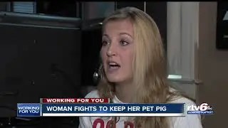Indy woman fights to keep pet pig at her West Side house