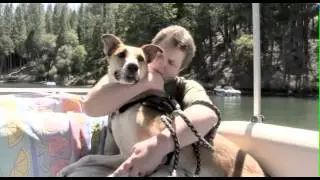 Pet Armor