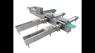 TD 104A Egg Grading Line with packing （ 10,000 eggs per hour