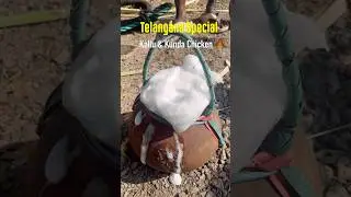 Telangana Special Kallu & Kunda Chicken | Friends tho Kallu dawat #shorts #kallu #kundachicken