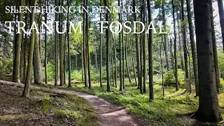 Tranum-Fosdal - Lien - Lerup Kirke - Silent Hiking ved Jammerbugt - Fosdalen Naturen i Danmark