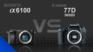Sony alpha a6100 vs Canon EOS 77D