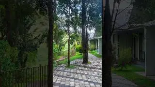 Premium resort at kuttikanam for booking - 8281265893 #kuttikanam #kuttikkanam #vagamon