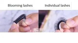 The difference between classic lashes and easy blooming lashes extension