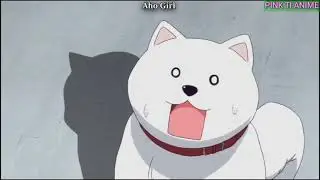 Craziest Thot Slayers in Anime || Funny moments|| how to make babys