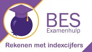 Rekenen met indexcijfers - Economische Vaardigheden