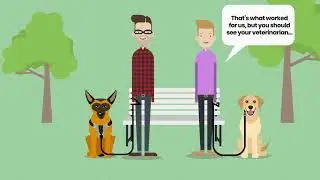 Canine Separation Anxiety Solutions Part 2