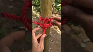 A Knot Used by Millions Worldwide 🌍