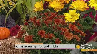 Fall Gardening Tips and Tricks
