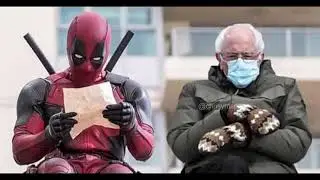 BERNIE SANDERS MEME COMPILATION