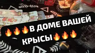 🔥🔥🔥В ДОМЕ ВАШЕЙ КРЫСЫ🔥🔥🔥