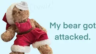 MY DOG ATTACKED MY STUFFED BEAR😭😭#sad #sendhelpplease 