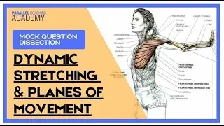 When Performing A Dynamic Stretch For The Pectoralis Major, In Which Plane Does Most Movement Occur