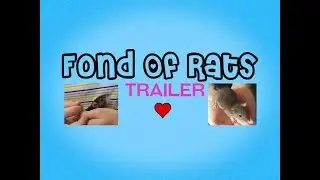 Fond Of Rats First Trailer!