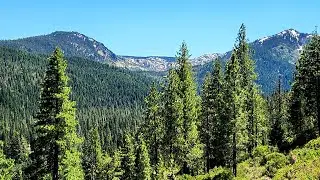 Plumas National Forest: Day hiking the Jamison Creek Basin