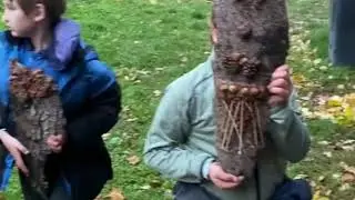 O čem dub zp&iacute;v&aacute;