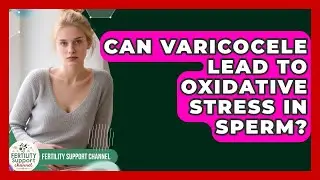 Can Varicocele Lead To Oxidative Stress In Sperm? - Fertility Support Channel