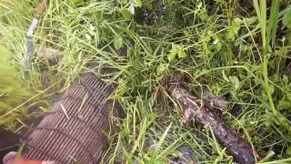 Amazing Man Catch Big Crab Using Bamboo Net Trap   How to Catch Crab Using Bamboo Net Trap