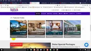 Client Project Review