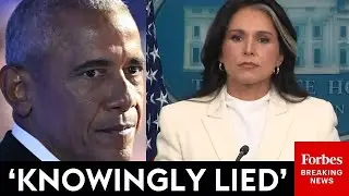 'Historic Scandal': Tulsi Gabbard Points Finger At Obama, Backs Trump, & Battles Dems | 2025 Rewind