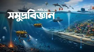 পর্বঃ-১২ ┇ সমুদ্রবিজ্ঞান ┇ প্যারাডক্সিক্যাল সাজিদ-২ ┇ Islamic Audio Book ┇ Ai Audio Book ┇