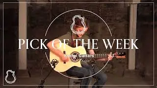 Kostal OMC Koa | TNAG Pick of the Week with Lindsay Straw